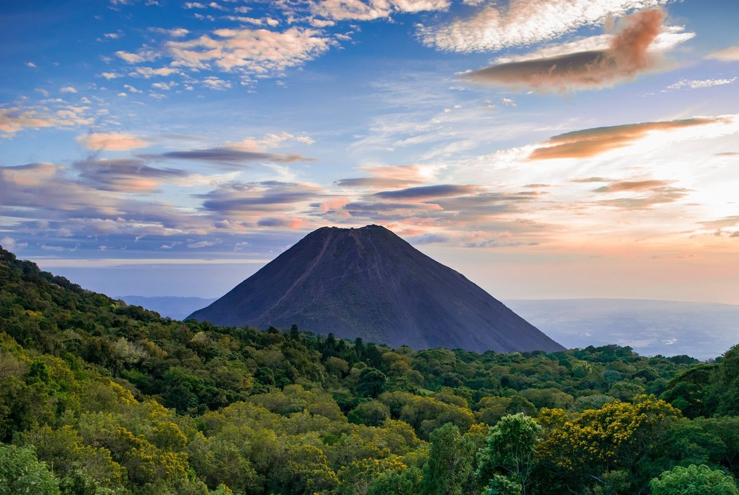 Paisaje del campo salvadoreño - colinas verdes y palmeras